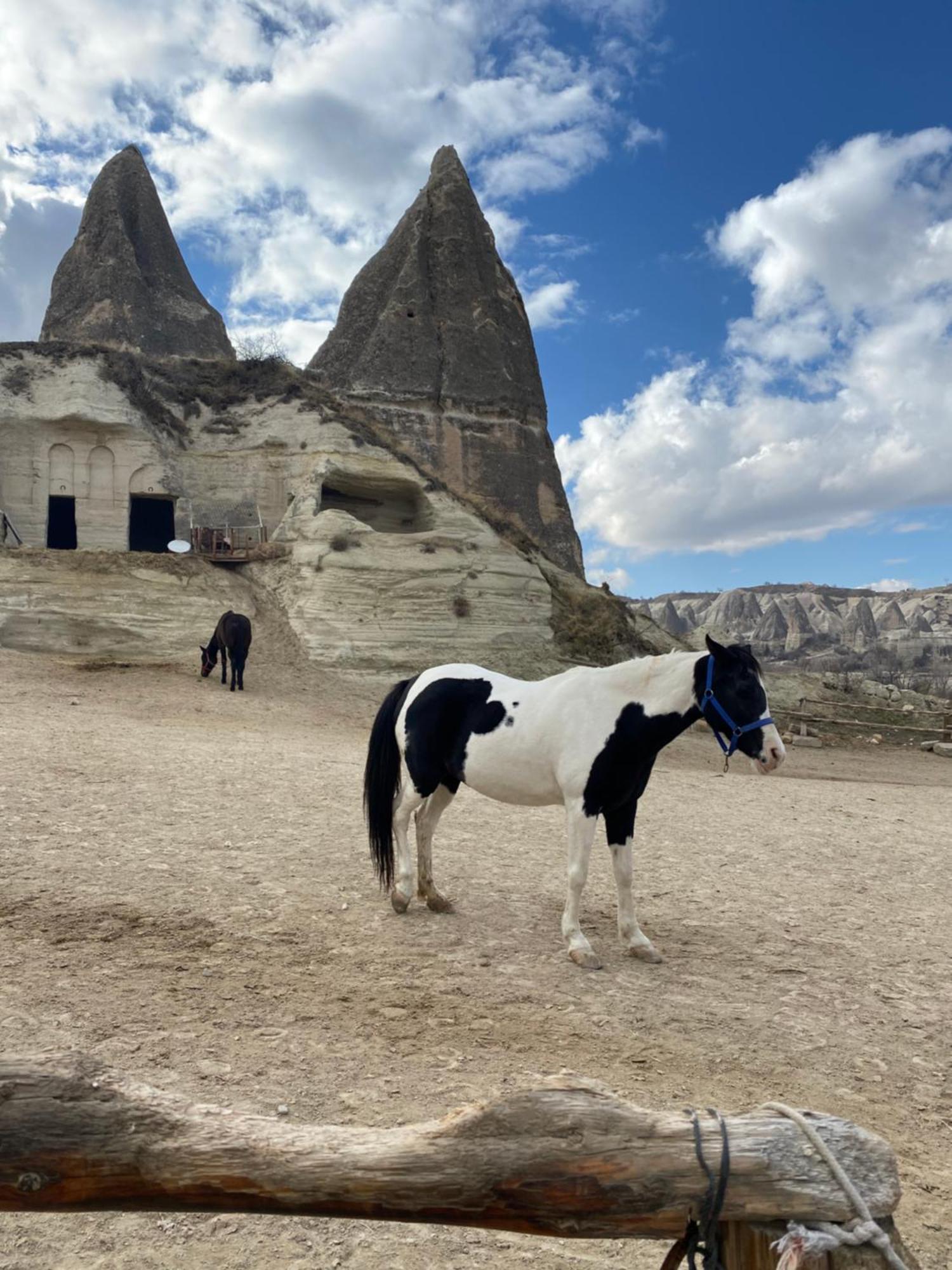 Sinasos Evleri Hotel Nevşehir Kültér fotó